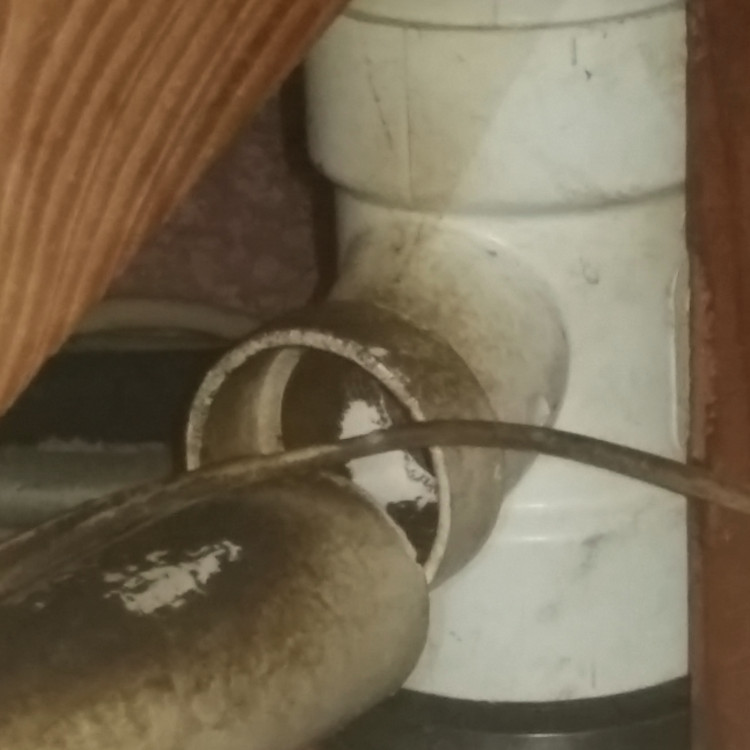 Image of rat damage to pipes