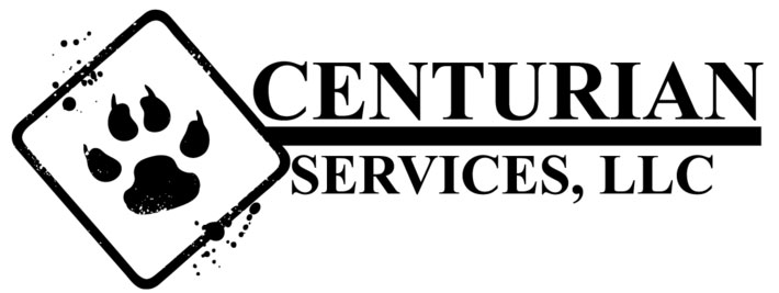 /media/images/centurian/featured-image-centurian.jpg Logo